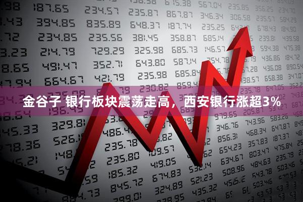 金谷子 银行板块震荡走高，西安银行涨超3%