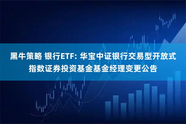 黑牛策略 银行ETF: 华宝中证银行交易型开放式指数证券投资基金基金经理变更公告