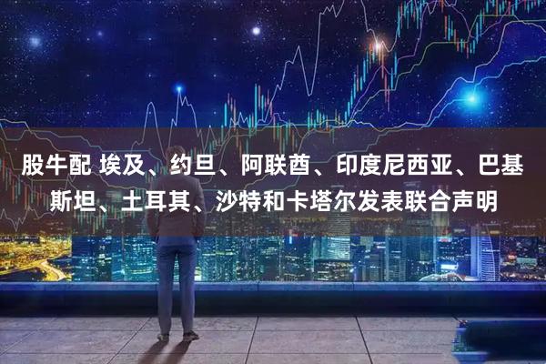 股牛配 埃及、约旦、阿联酋、印度尼西亚、巴基斯坦、土耳其、沙特和卡塔尔发表联合声明