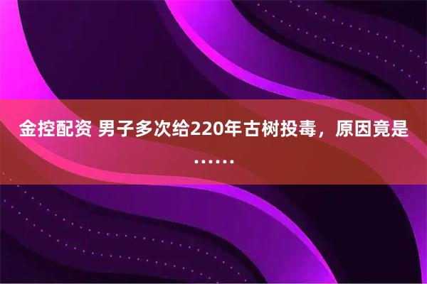 金控配资 男子多次给220年古树投毒，原因竟是……